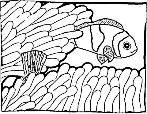 Clown Fish  Coloring Page